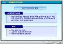 유가증권의 종류와 포트폴리오의 필요성 24페이지