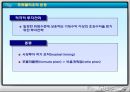 유가증권의 종류와 포트폴리오의 필요성 25페이지