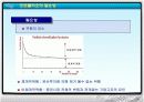 유가증권의 종류와 포트폴리오의 필요성 30페이지