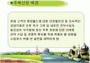 국내 3대 테마파크의 선호도 조사 -선호도 조사를 통한 롯데월드의 마케팅 제안 3페이지