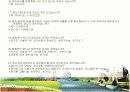 국내 3대 테마파크의 선호도 조사 -선호도 조사를 통한 롯데월드의 마케팅 제안 10페이지