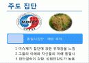 정책 의제 설정 모형 [발표자료] 11페이지