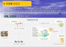 동탄신도시ppt 29페이지