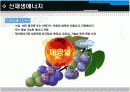 태양에너지 3페이지