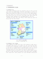 대경광역경제권 평가와 전망 4페이지