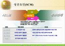 시스코 기업분석 분산관리 분석 레포트 17페이지
