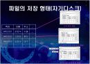 파일의 구조와 종류 5페이지