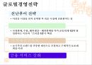 하이얼의 전략분석(SWOP분석, 핵심전략) 12페이지