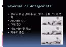 고유수용성신경근촉진법(PNF)PPT자료 18페이지