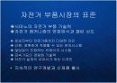 세계 자전거 부품시장 점유율 1위 시마노 (Shimano. Inc.) 의 기술혁신과 브랜드 마케팅 글로벌 성장전략 케이스 PPT 7페이지