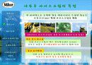 나뚜루 환경 분석 및 전략 13페이지