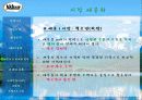 나뚜루 환경 분석 및 전략 25페이지