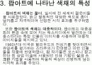 팝아트(Pop art) 표현과 색채 12페이지