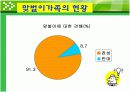 맞벌이가족ppt 11페이지