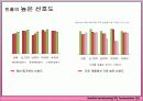 빈폴 IMC전략 기획서 4페이지