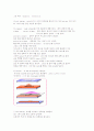Thin Film 제조의 종류와 원리  6페이지