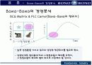 [경영학원론]외식업 성공사례분석-씨푸드레스토랑 '보노보노' 11페이지