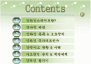 인라인 스케이트의 모든것 파워포인트 자료 2페이지