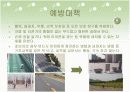 인라인 스케이트의 모든것 파워포인트 자료 17페이지