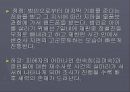 세븐데이즈 프리젠테이션 자료 28페이지