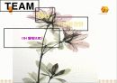 와이브로 창업에 관한 프로젝트(양재욱) 7페이지