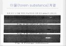 LCD불량검사 준비자료 24페이지