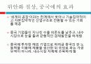 [파워포인트] 중국의 위안화 절상, 그리고 그 영향 6페이지
