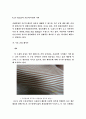 생체고분자를 이용한 생분해성 섬유 18페이지