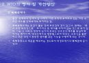 WTO의 평가와 과제 개선방안 9페이지