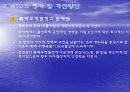 WTO의 평가와 과제 개선방안 12페이지
