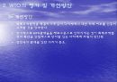 WTO의 평가와 과제 개선방안 13페이지