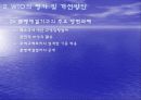 WTO의 평가와 과제 개선방안 15페이지