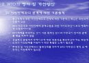 WTO의 평가와 과제 개선방안 17페이지
