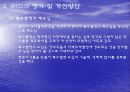 WTO의 평가와 과제 개선방안 20페이지