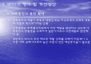 WTO의 평가와 과제 개선방안 23페이지
