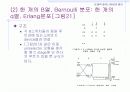 [컴퓨터공학]Link시스템에서의 손실호 이론 14페이지