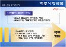 싱글 PPM 추진 사례 (대유에이텍) 15페이지