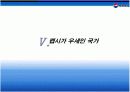 [마케팅 사례] 펩시 주요 국가별 상황 분석 20페이지