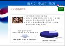 [마케팅 사례] 펩시 주요 국가별 상황 분석 22페이지