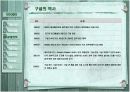 google의 모든것 11페이지