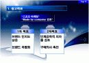 이탈리아 듀오백 성공 사례 분석 16페이지