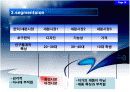 이탈리아 듀오백 성공 사례 분석 18페이지