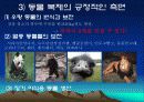 생명윤리에 관해서(인간복제) 6페이지