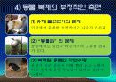 생명윤리에 관해서(인간복제) 7페이지