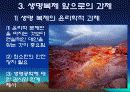 생명윤리에 관해서(인간복제) 12페이지