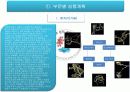 경주 천문 박람회 기획서 14페이지