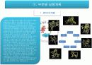 경주 천문 박람회 기획서 15페이지