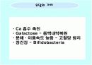 우유와 유제품 조사 10페이지