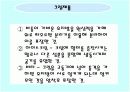 우유와 유제품 조사 19페이지
