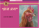 조육류 조사 1페이지